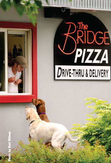 pets 2020.jpg